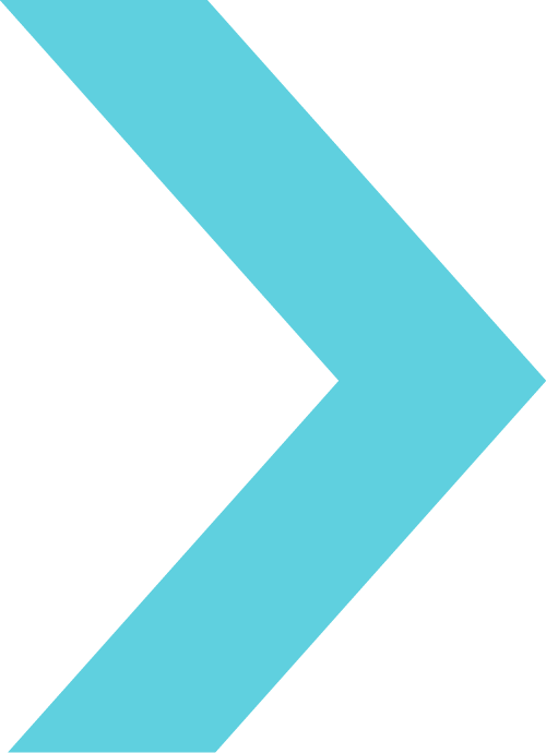 DataDx arrow icon