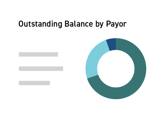 report-ar-aging-outstanding-balance-by-payor-circle-chart-1x-01